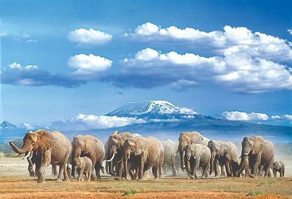 OL TUKAI LODGE AMBOSELI